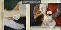 Phoenix & Owl 5x7 Greeting Card Bundle (Set of 5)