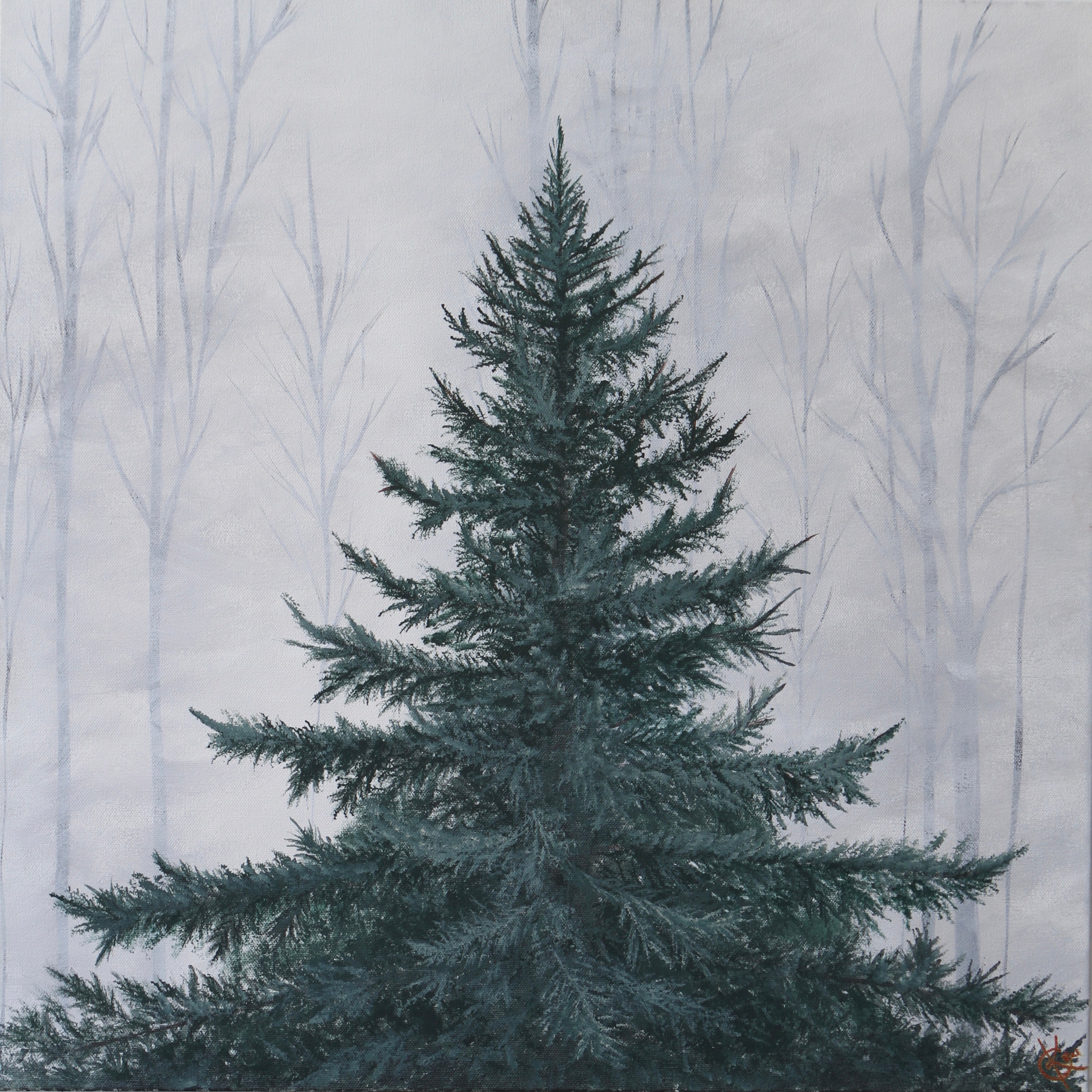 Lone Pine Tree 5x7 Greeting Card Bundle (Set of 5)